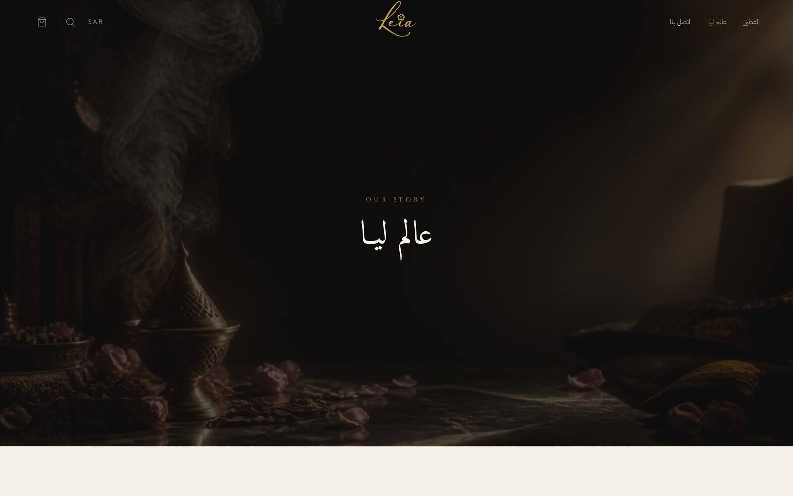 LEIA Brand world — Story / desktop